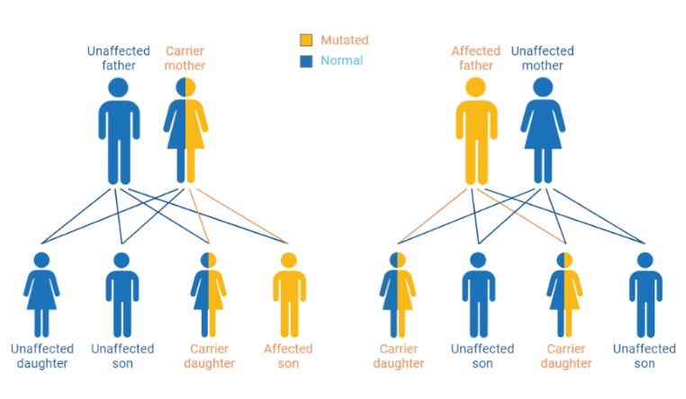 G6PD family inheritance